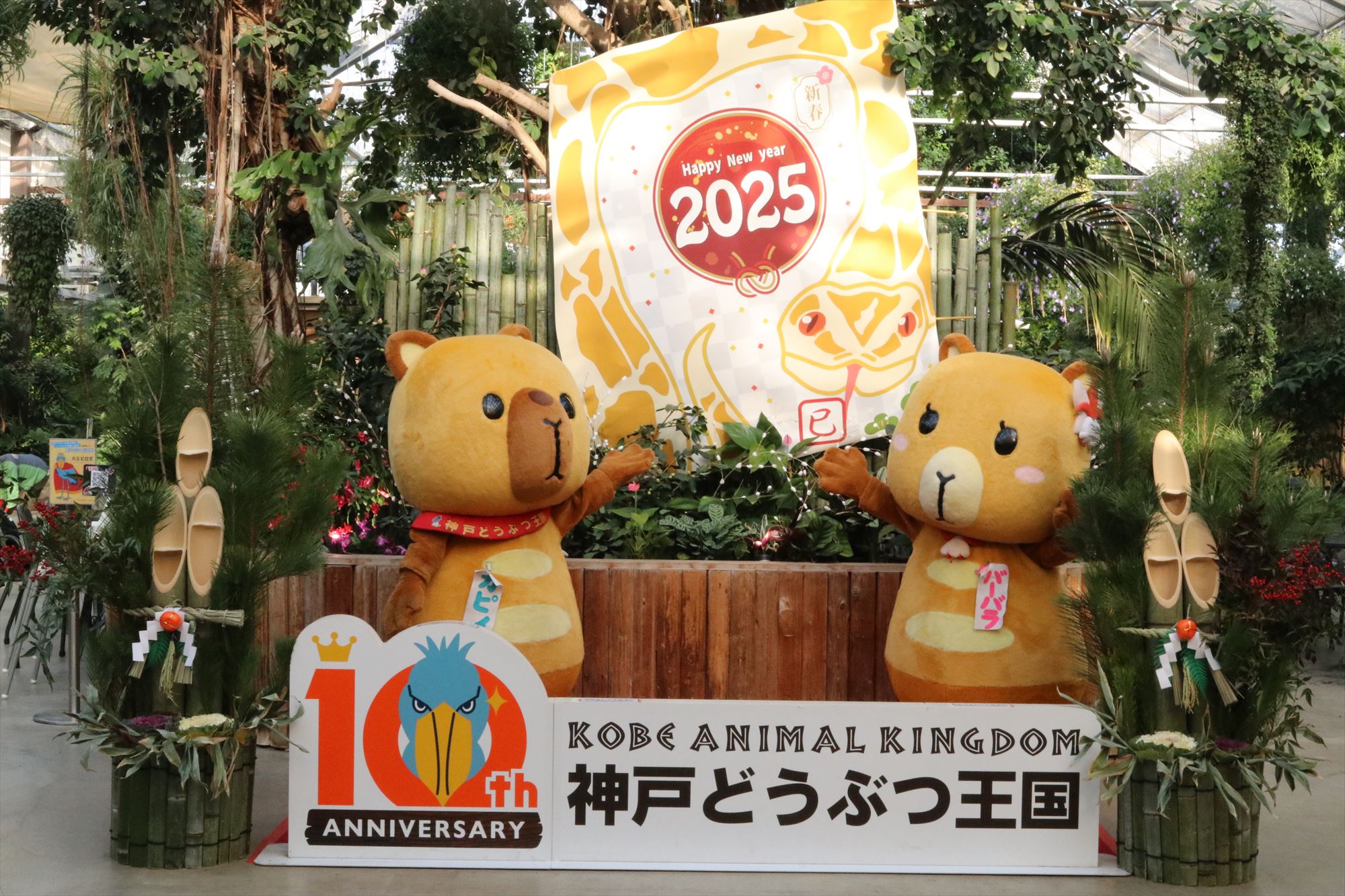 Animal kingdom banner